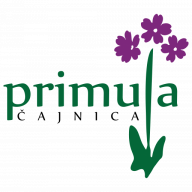 Čajnica Primula