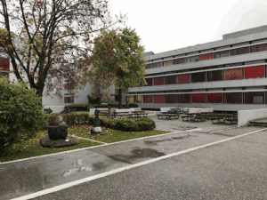 Univerza v Ljubljani, Ekonomska fakulteta